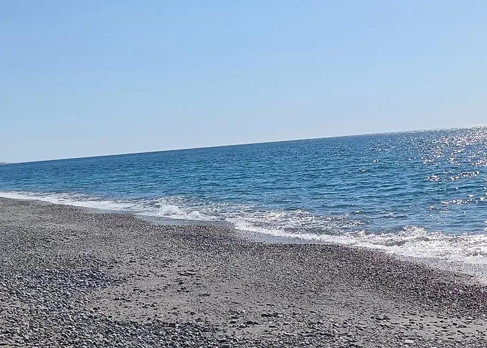 Dal Professore * 美利托迪波尔图萨尔维